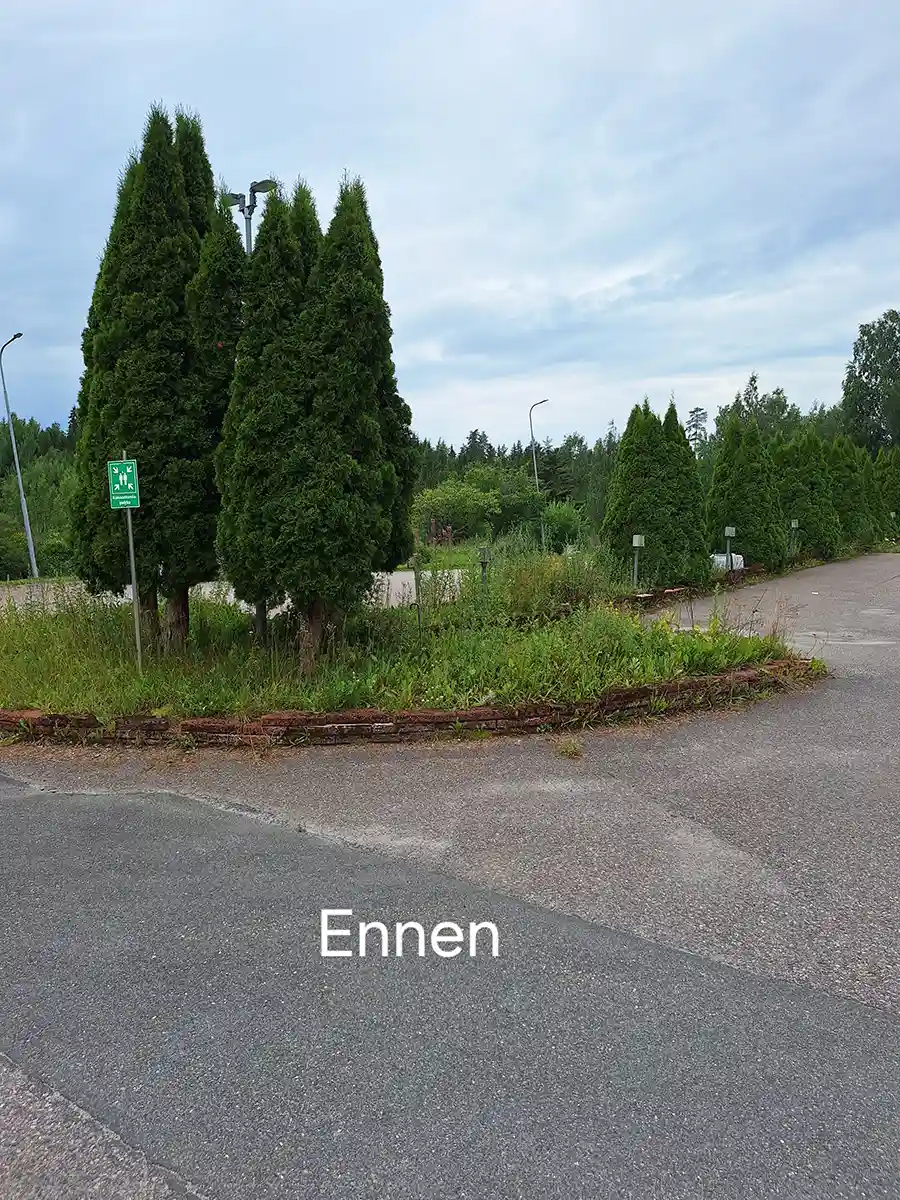 Nurmi- ja puualue ennen siistimistä