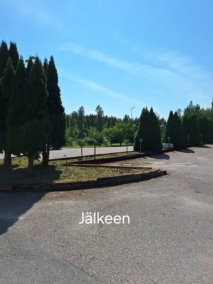 Nurmi- ja puualue siistimisen jälkeen