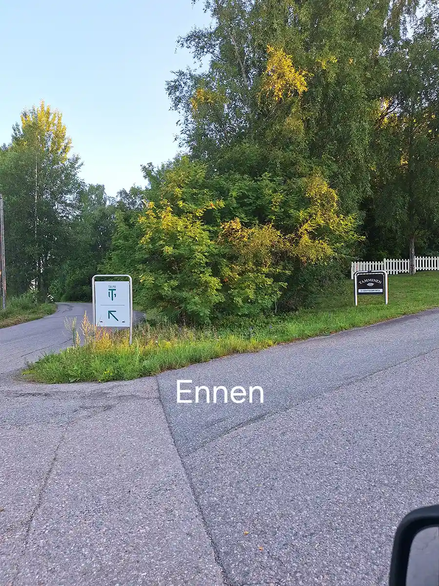 Ennen nurmialueen siistimistä
