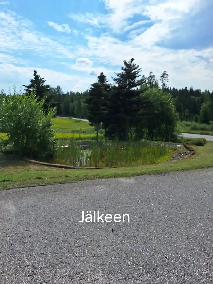 Laaja nurmikko siistimisen jälkeen